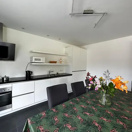 Semesterbostad Zandloper Gentiaan 19 *